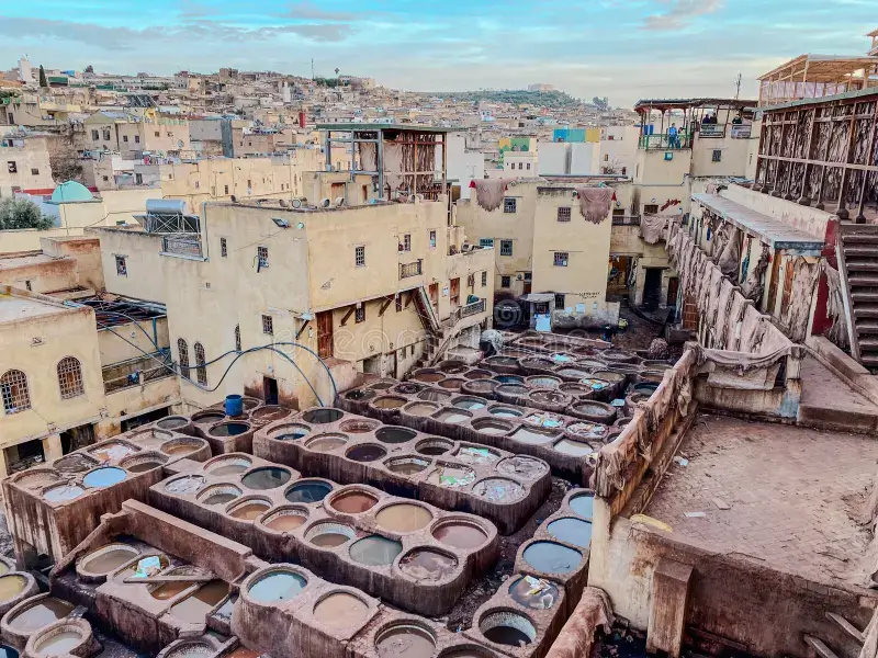 Fes solo travel guide view of Chouara Tannery