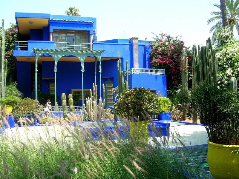 Blue walls and cactus at Majorelle Garden, Marrakech