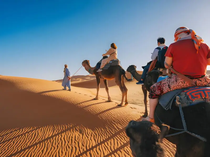 A group of travelers enjoying a camel trek on one of the best Sahara Desert tours for solo females.